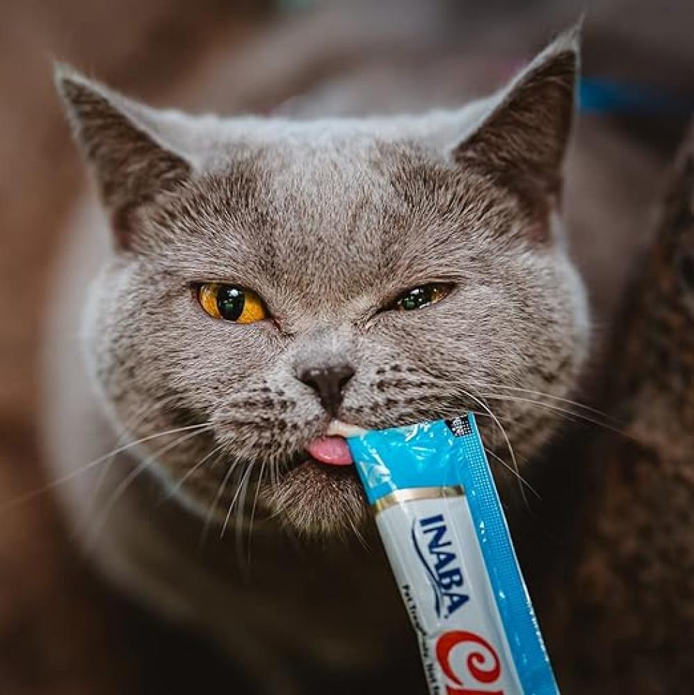 Why do cats like churu so much : The Ultimate Guide for Cat Lovers