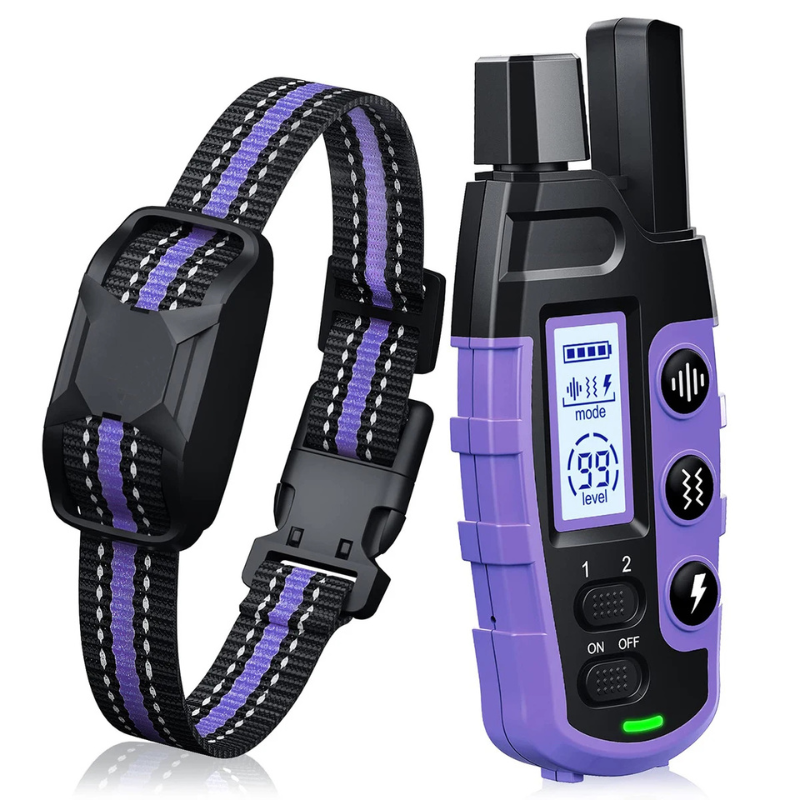 Dog training collar with remote control on a white background