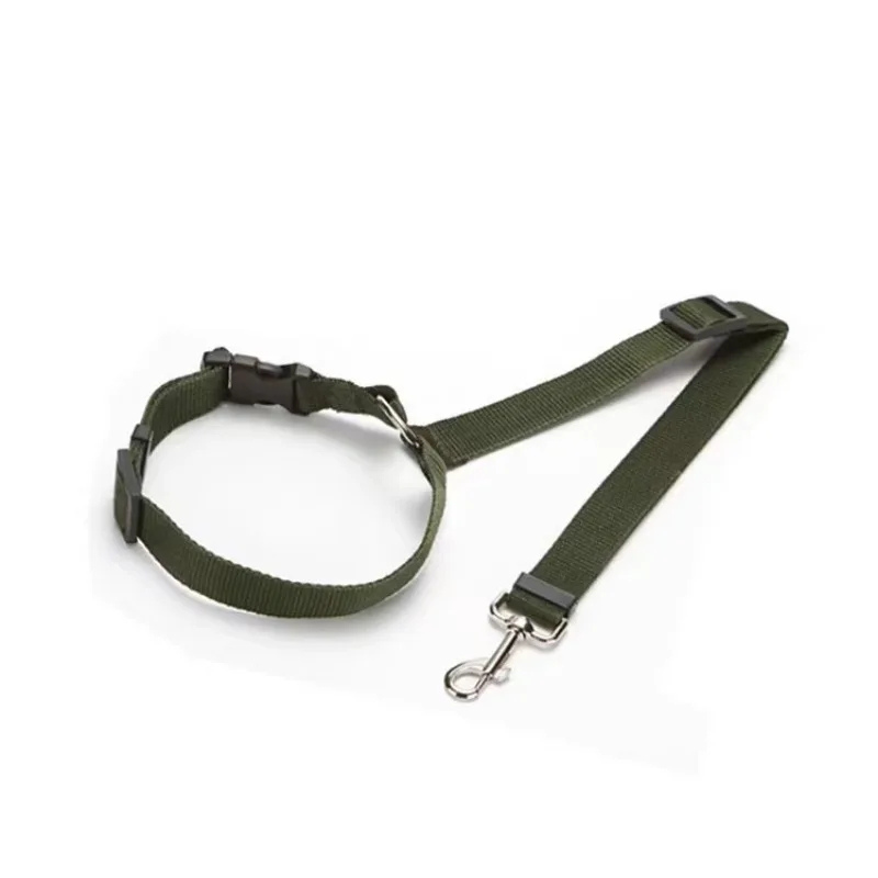 Green dog collar and leash set on a white background