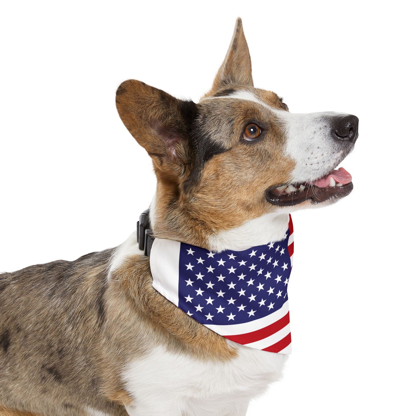 Patriotic American Flag Pet Bandana β Celebrate Veterans Day in Style
