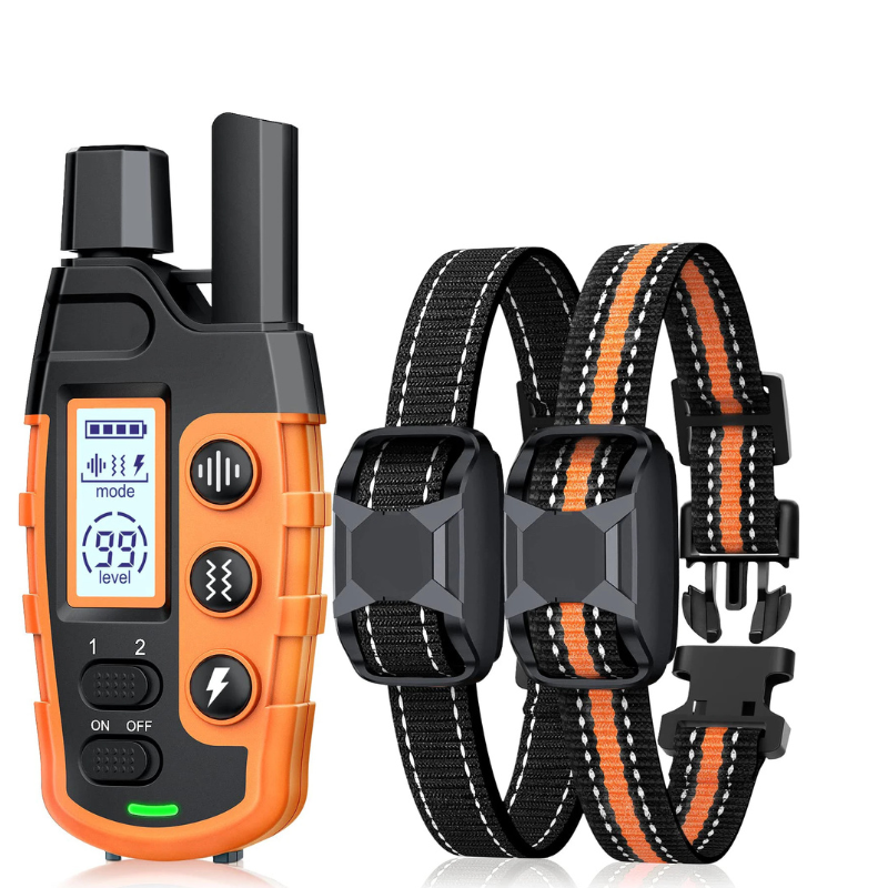 Dog training collar set with remote and collars on a white background