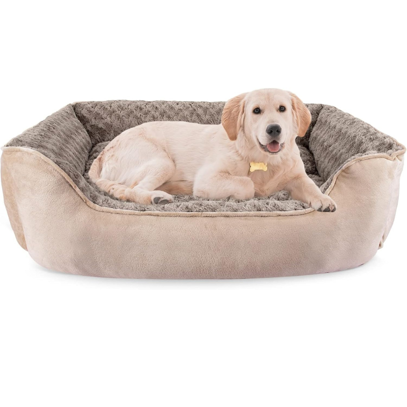 JOEJOY Cat Couch Bed – Soft Orthopedic Cat Sofa Bed for Kneading