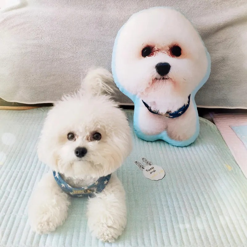 Small white dog sitting next to a plush toy of itself on a light-colored surface.
