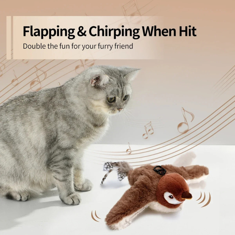 Cat interacting with a toy penguin on a background with musical notes
