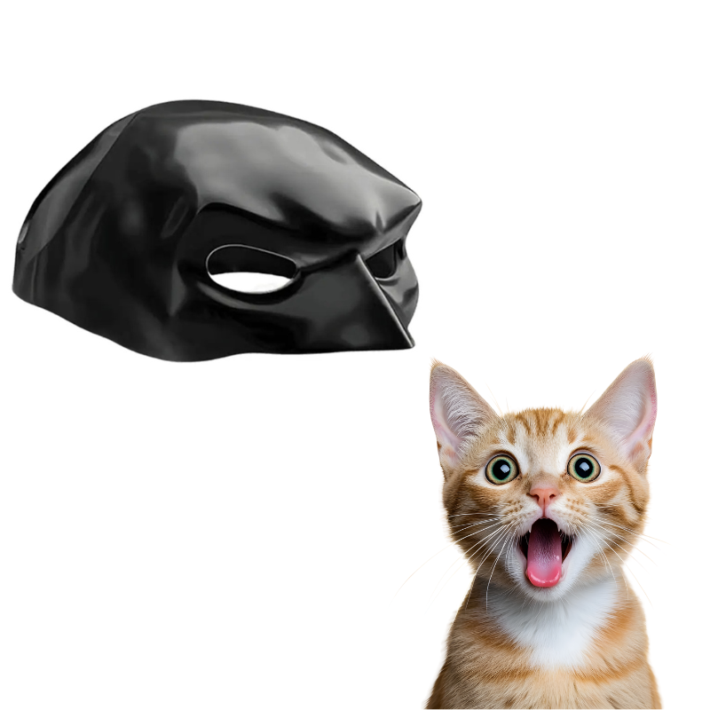 Black mask and a surprised cat on a white background