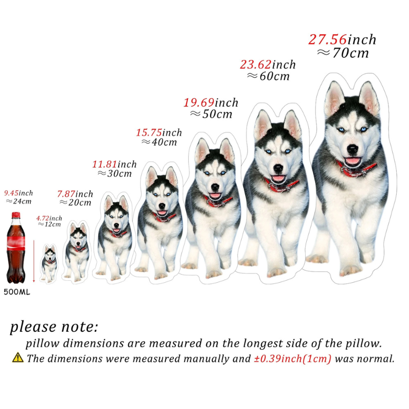 Illustration of a Siberian Husky with size measurements in inches and centimeters, and a bottle for scale.