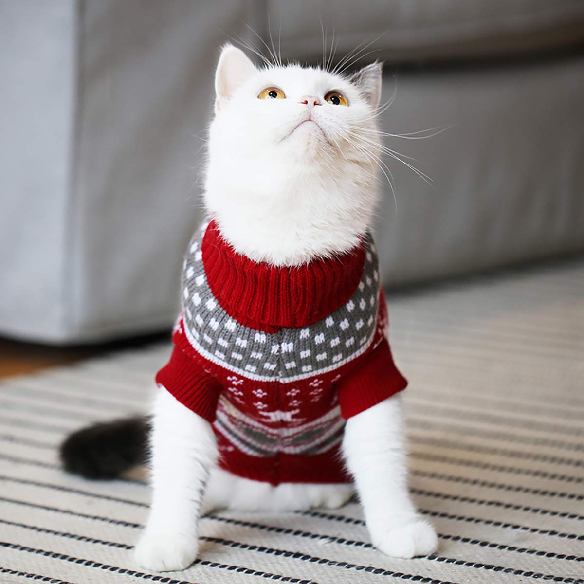 Vehomy Cat & Dog Christmas Sweater – Cozy Winter Knit