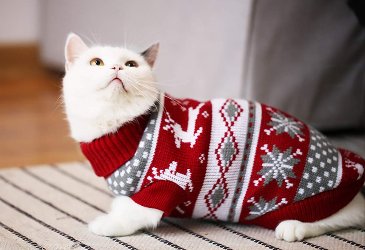 Vehomy Cat & Dog Christmas Sweater – Cozy Winter Knit