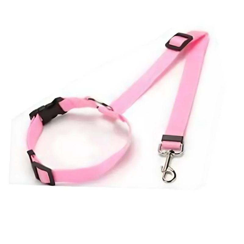 Pink dog collar and leash set on a white background