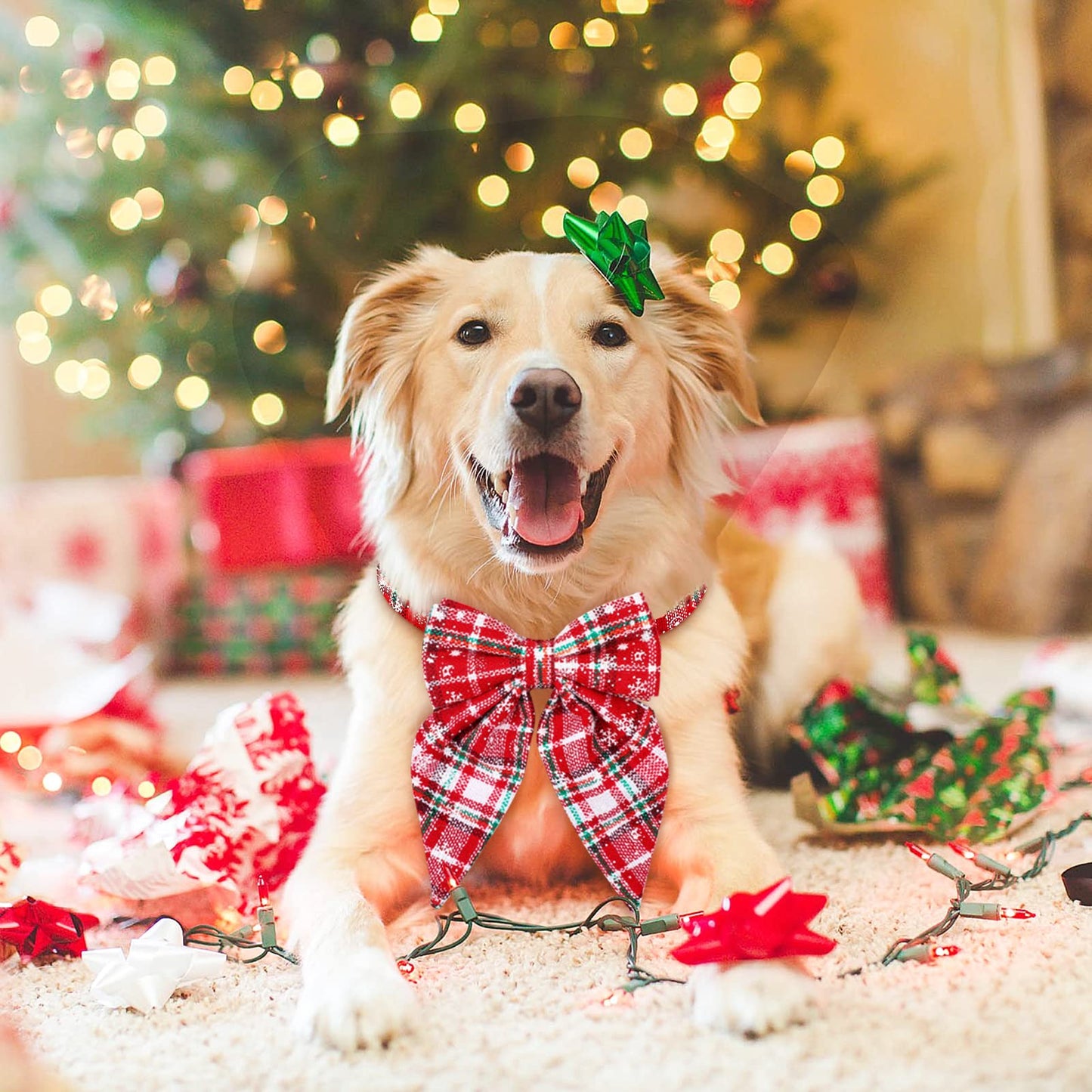 Christmas Dog Collar with Bow Tie – Plaid Adjustable Collar for Pets