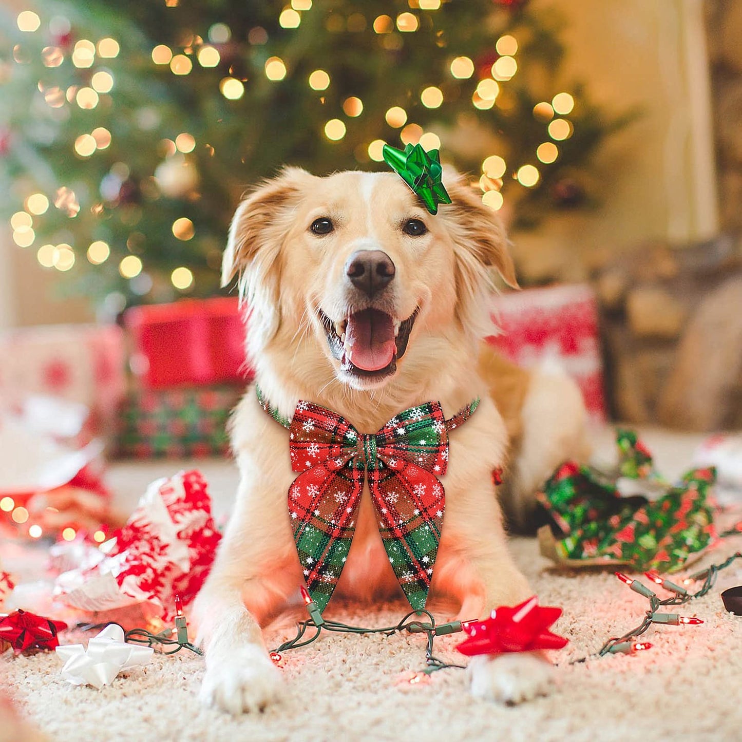 Christmas Dog Collar with Bow Tie – Plaid Adjustable Collar for Pets