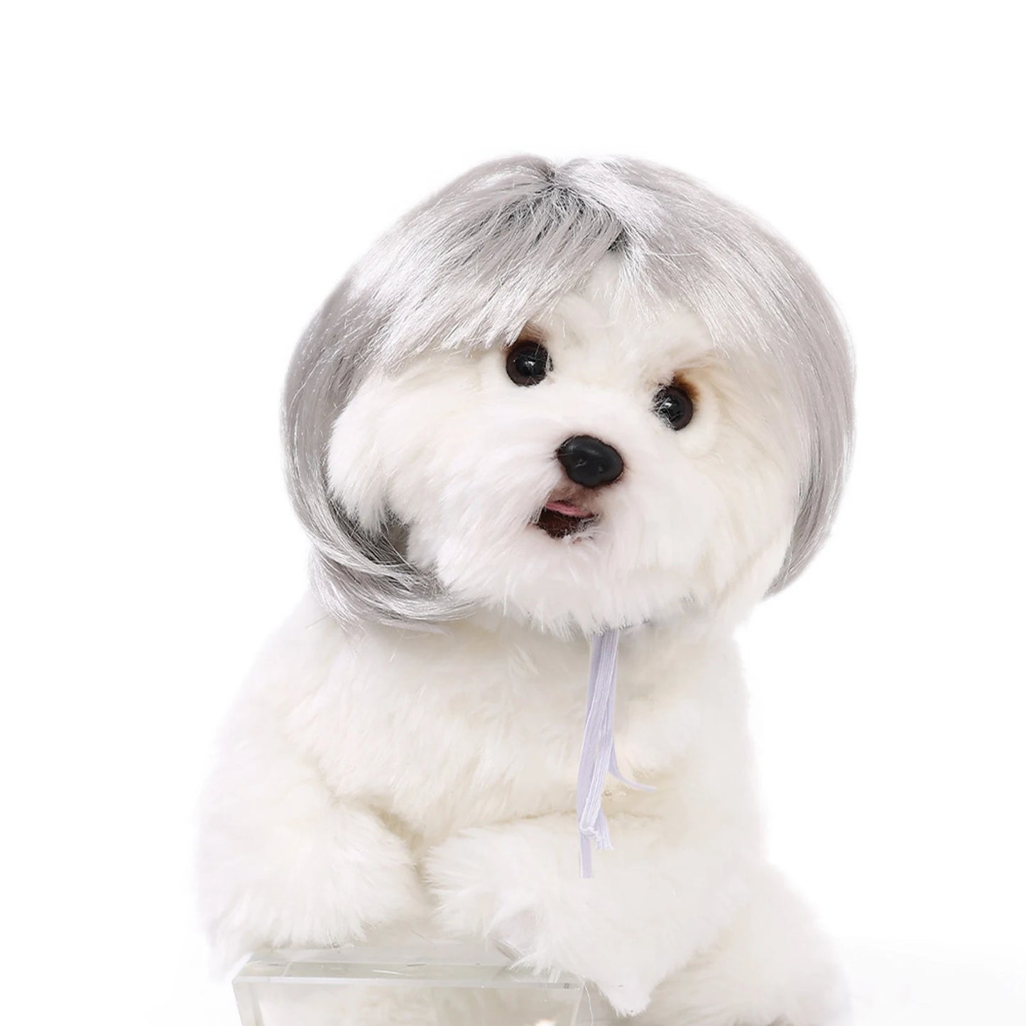 Funny Pet Cosplay Wig – Dog & Cat Costume Hair Hat for Halloween