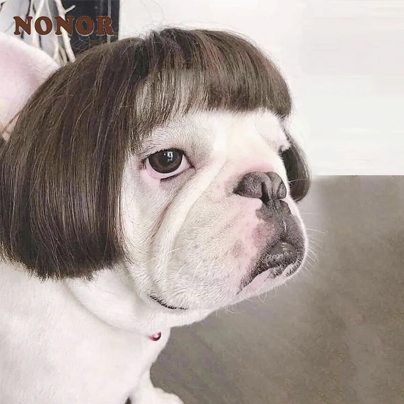 NONOR Pet Wig – Funny Cosplay Hair Hat for Dogs & Cats