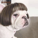 NONOR Pet Wig – Funny Cosplay Hair Hat for Dogs & Cats