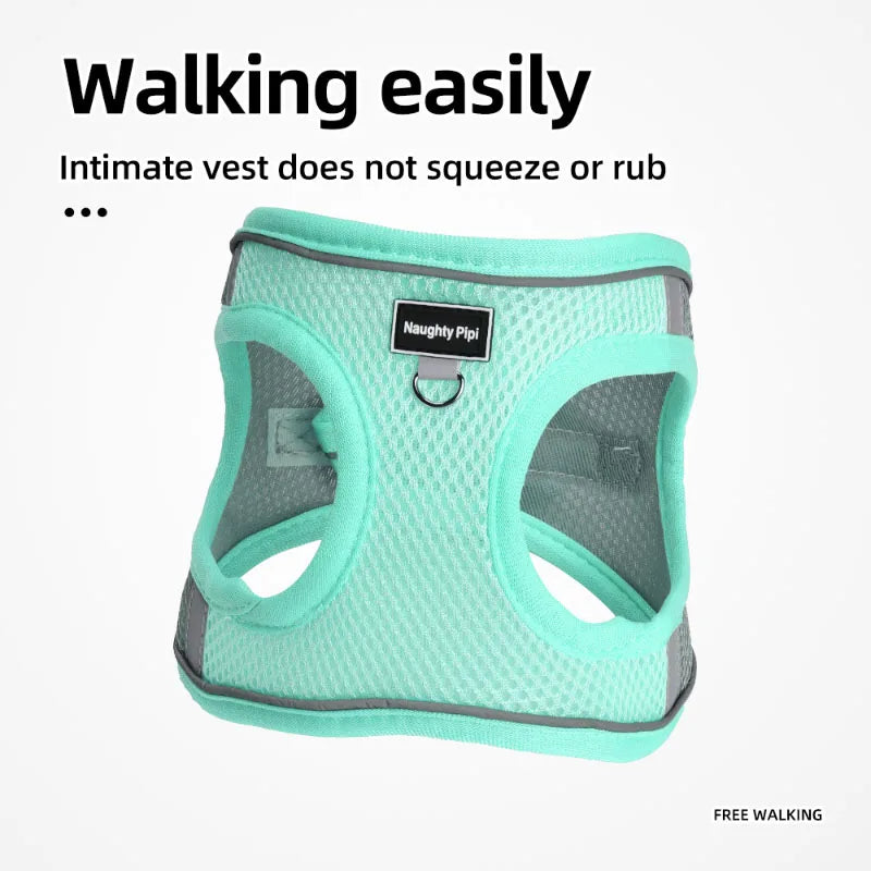 Adjustable Dog Harness & Leash Set for Small Dogs