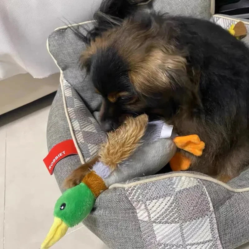 Cute Plush Duck Dog Squeaky Toy – Interactive Chew for Small & Medium Dogs