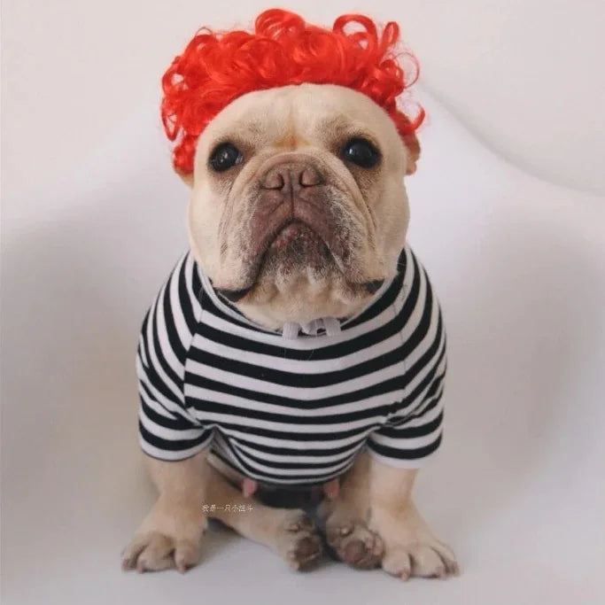 NONOR Pet Wig – Funny Cosplay Hair Hat for Dogs & Cats