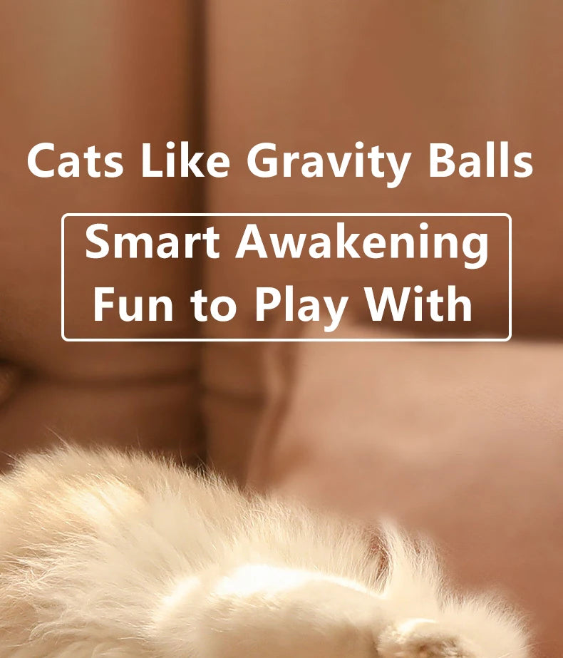2PCS Cat Interactive Ball Indoor Automatic Rolling Magic Ball Smart Cat Toys Electronic Interactive Cat Toy Cat Game Accessories - WTN Essentials
