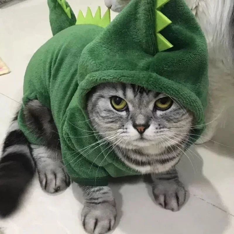 Pet Halloween Clothes – Dinosaur Cosplay Outfit