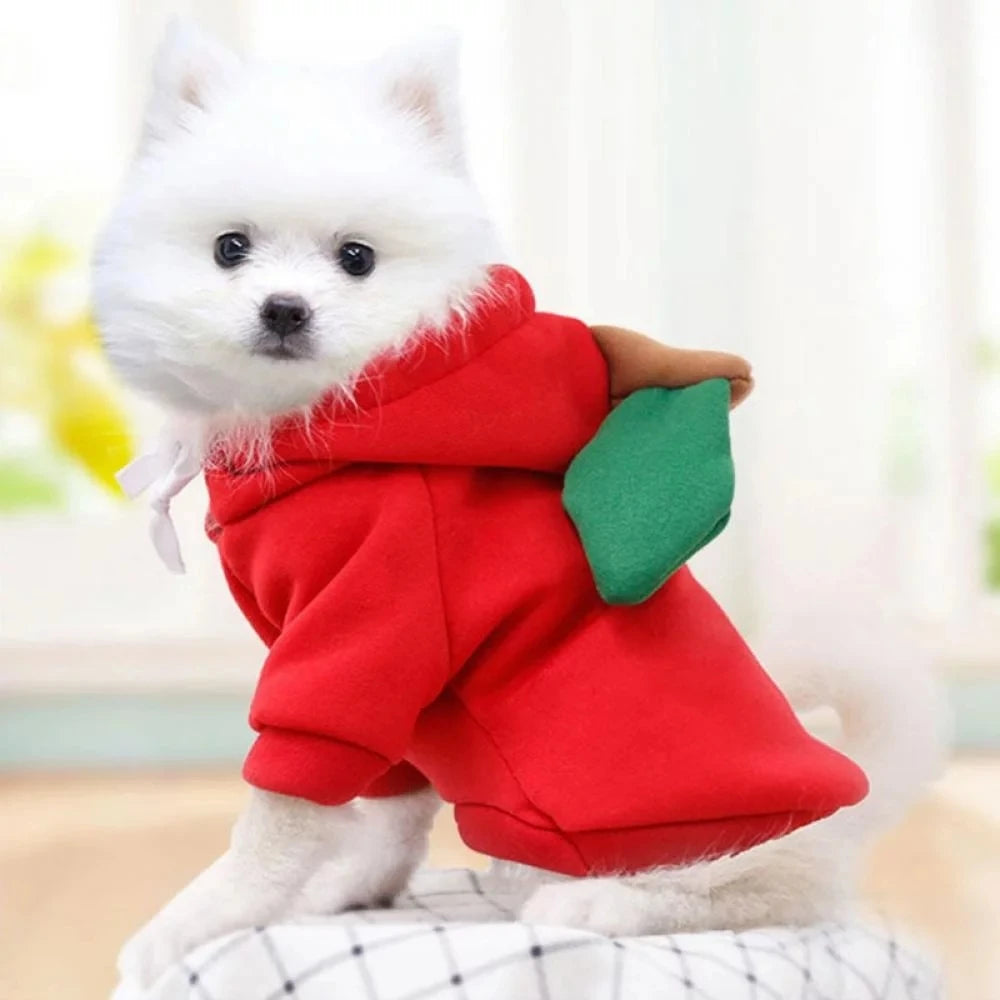 Cute Fruit Dog Hoodie – Funny Pet Costume for Cats & Puppies