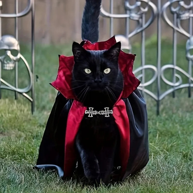 Spooky Halloween Vampire Cat Costume – Cloak & Hat Festival Set