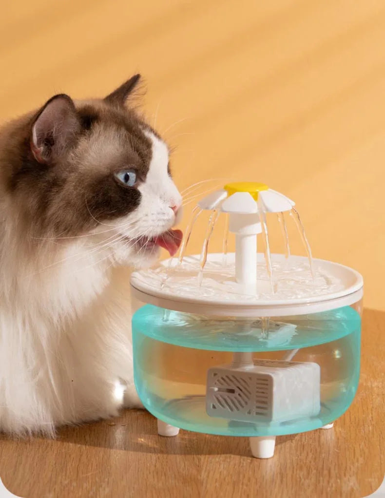 USB Electric Mute 1L Pet Water Fountain Automatic Cat Drink Bowl Filter Pet Drinking Dispenser Drinker For Cats Water Filter - WTN Essentials