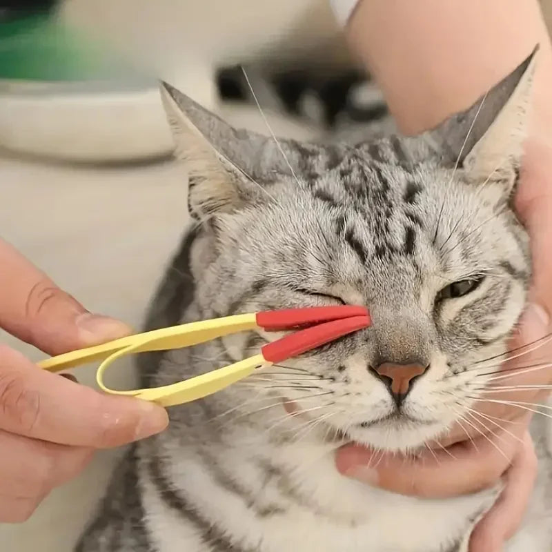 Pet Eye Comb Brush Pet Tear Stain Remover Comb Double-Sided Eye Grooming Brush Removing Crust Mucus For Small Cat Dog - WTN Essentials