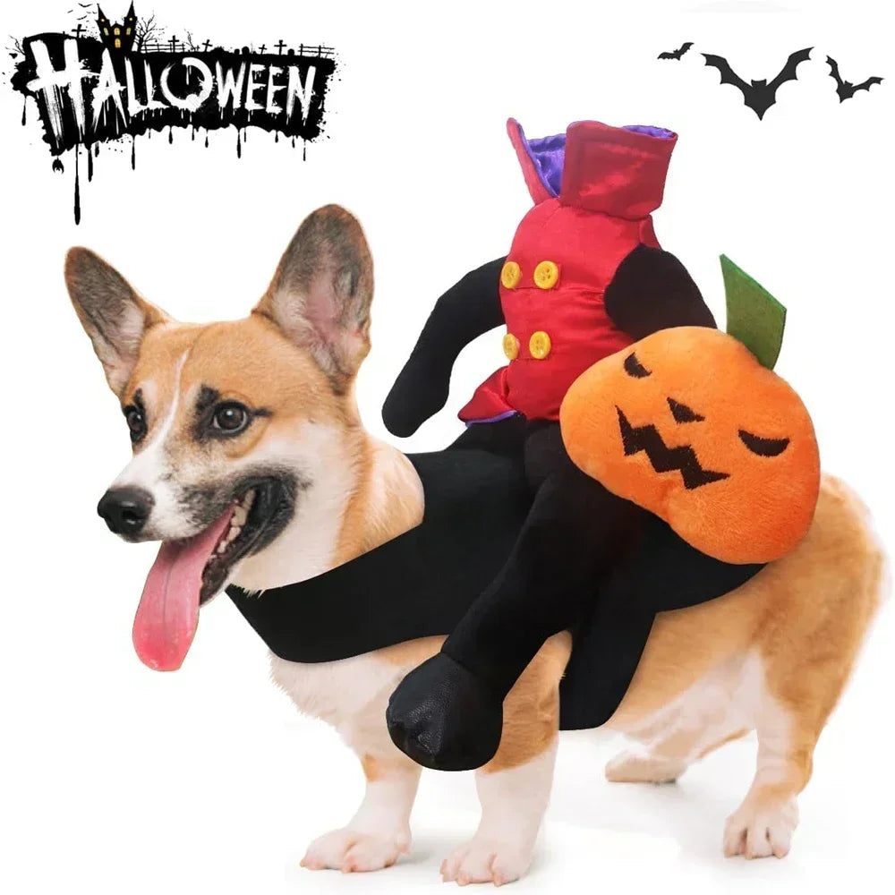 Pet Halloween Horse Rider Costume – Funny Dog & Cat Outfit