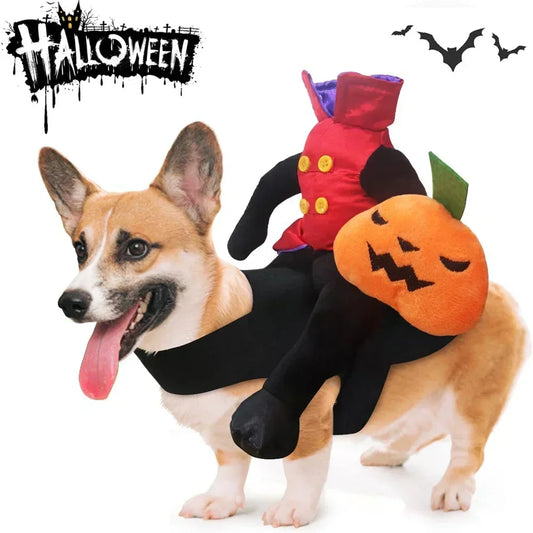 Pet Halloween Horse Rider Costume – Funny Dog & Cat Outfit