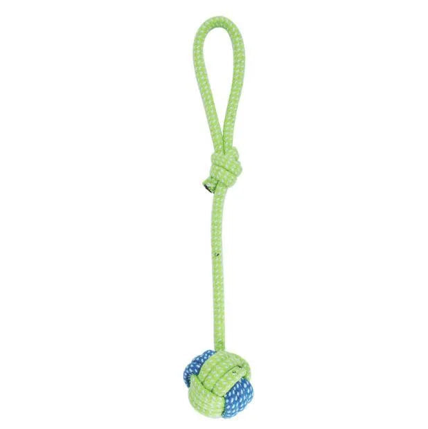 Pet Dog Toys for Large Small Dogs Toy Interactive Cotton Rope Mini Dog Toys Ball for Dogs Accessories Toothbrush Chew Puppy Toy - WTN Essentials
