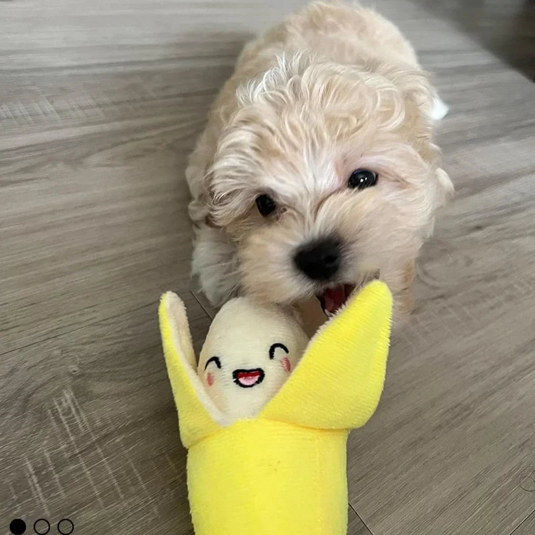 7-Piece Plush Puppy Toy Set – Chew, Play & Sound