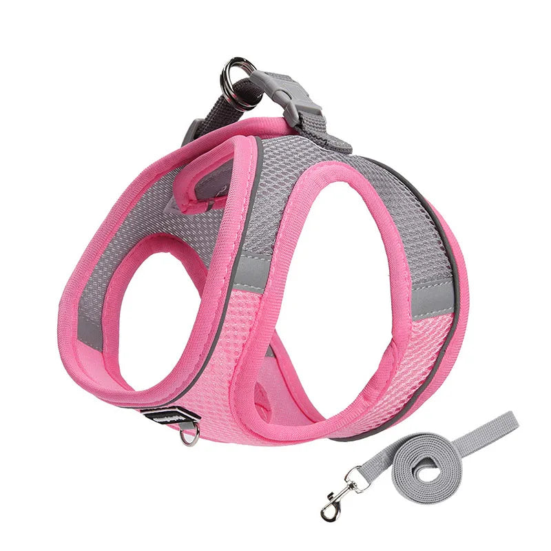 Adjustable Dog Harness & Leash Set for Small Dogs