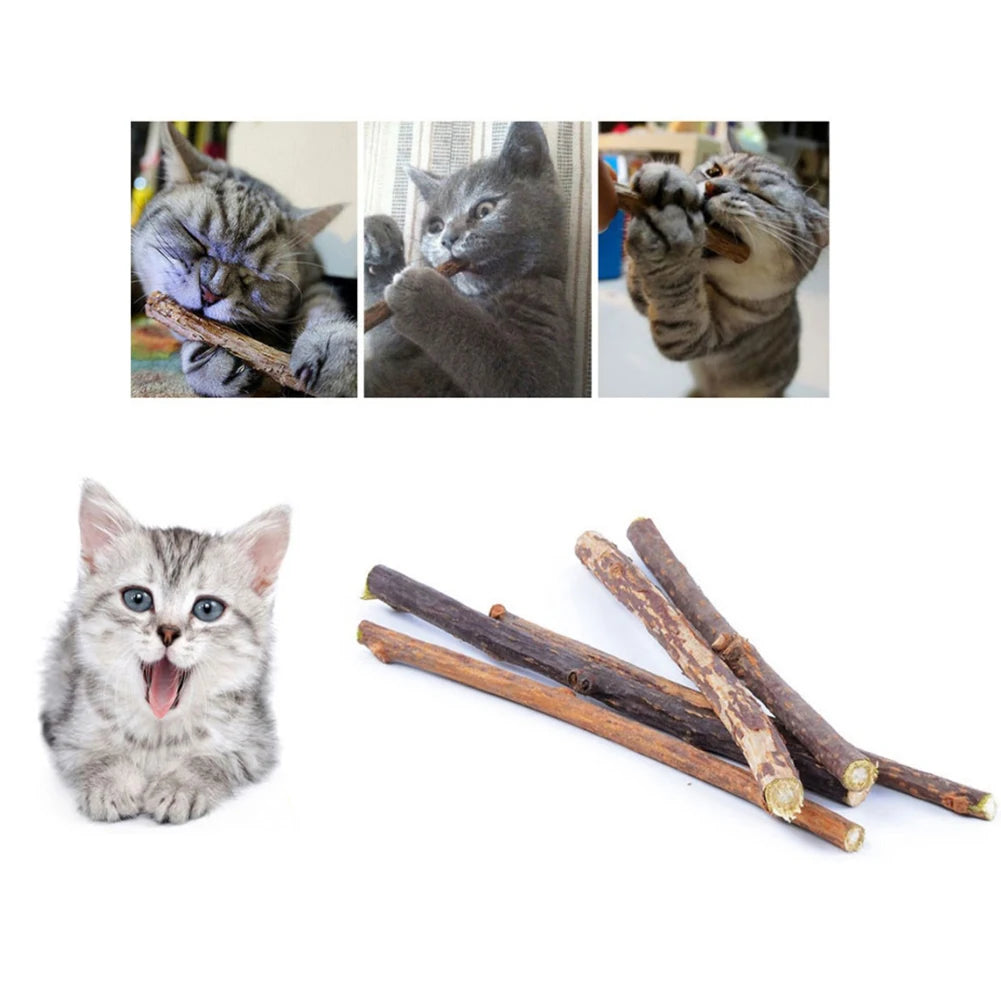 Silvervine Sticks for Cats Natural Catnip Chew Sticks Teeth Molar Chewing Toys for Cat Kitten Kitty Gifts - WTN Essentials