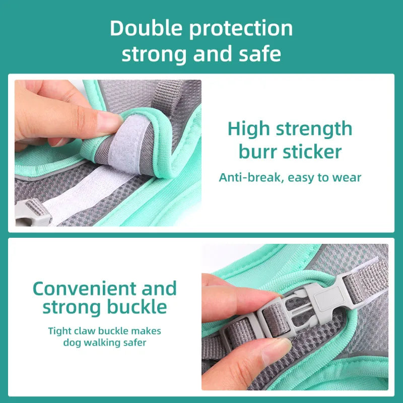 Adjustable Dog Harness & Leash Set for Small Dogs