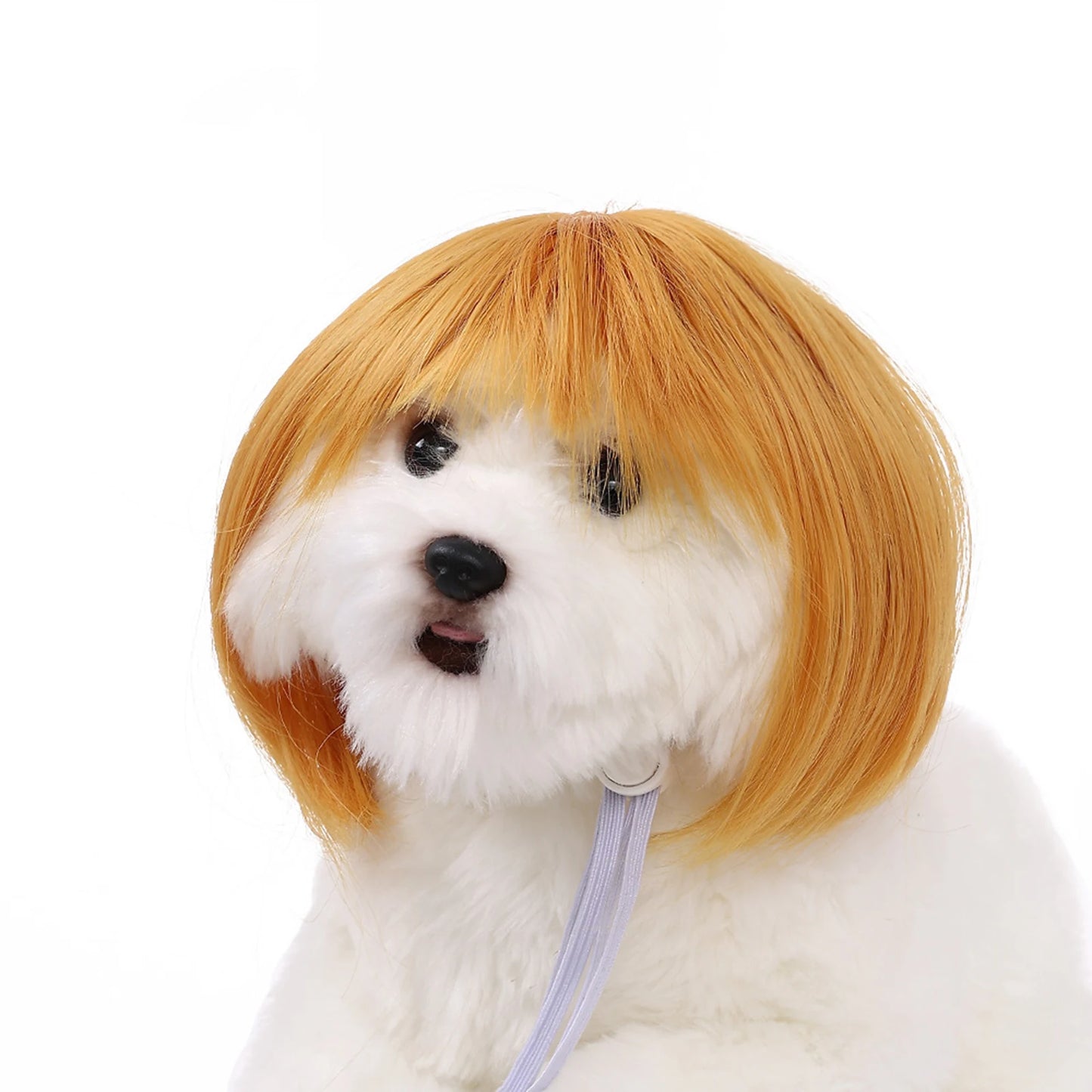 Funny Pet Cosplay Wig – Dog & Cat Costume Hair Hat for Halloween