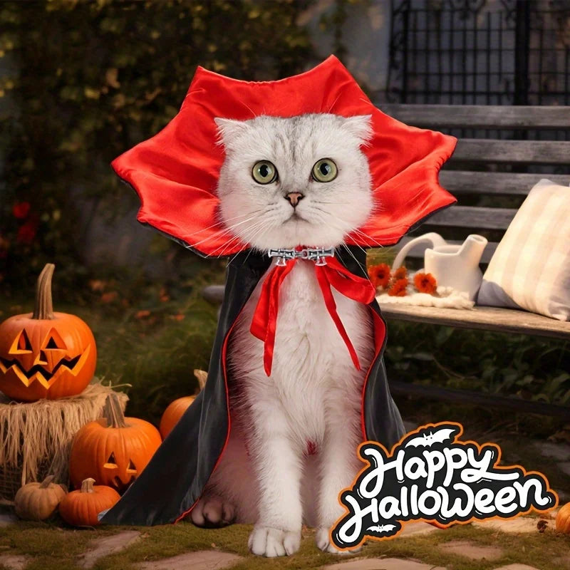 Spooky Halloween Vampire Cat Costume – Cloak & Hat Festival Set