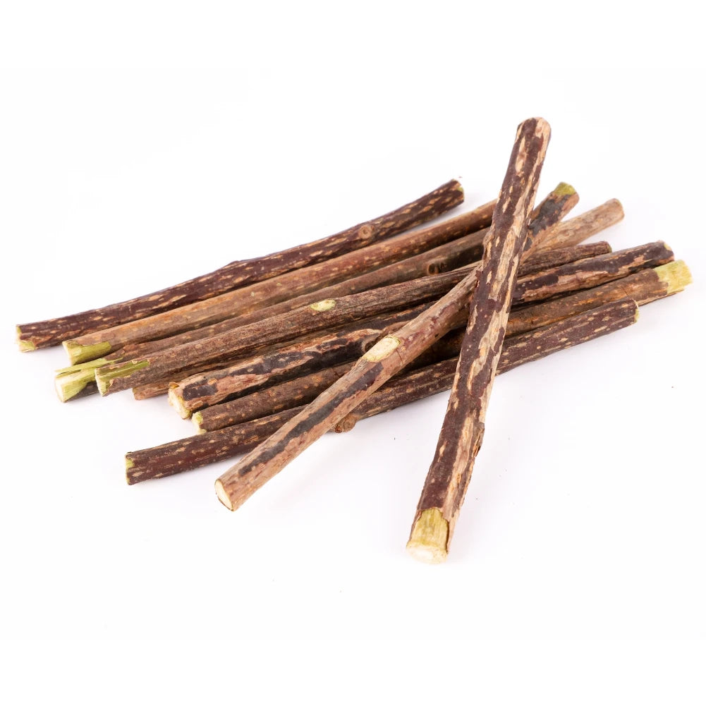 Silvervine Sticks for Cats Natural Catnip Chew Sticks Teeth Molar Chewing Toys for Cat Kitten Kitty Gifts - WTN Essentials
