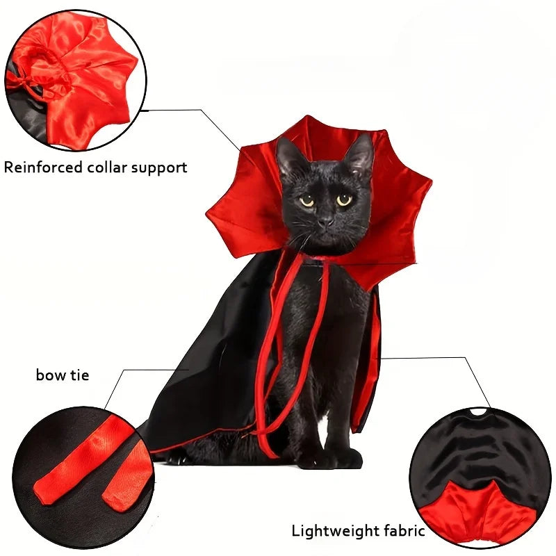 Spooky Halloween Vampire Cat Costume – Cloak & Hat Festival Set