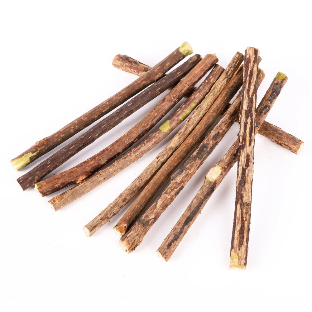 Silvervine Sticks for Cats Natural Catnip Chew Sticks Teeth Molar Chewing Toys for Cat Kitten Kitty Gifts - WTN Essentials