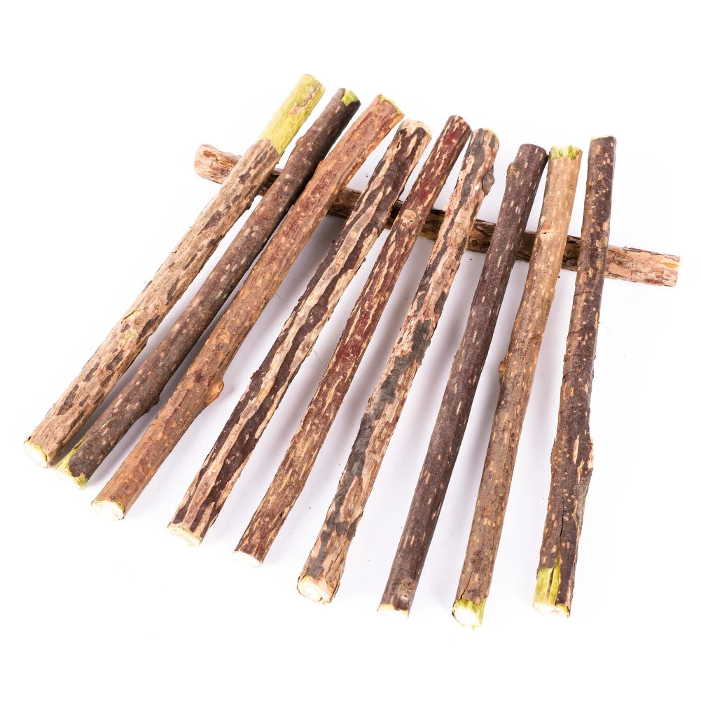 Silvervine Sticks for Cats Natural Catnip Chew Sticks Teeth Molar Chewing Toys for Cat Kitten Kitty Gifts - WTN Essentials