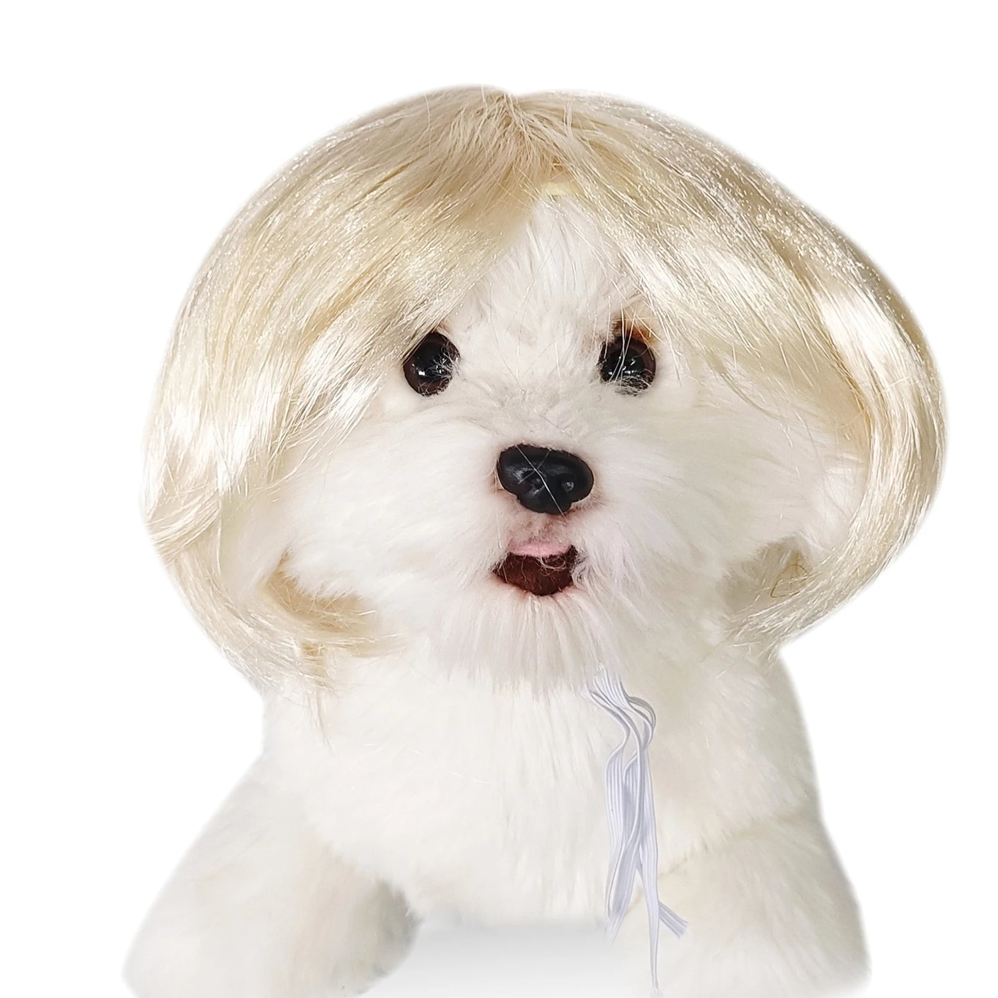 Funny Pet Cosplay Wig – Dog & Cat Costume Hair Hat for Halloween
