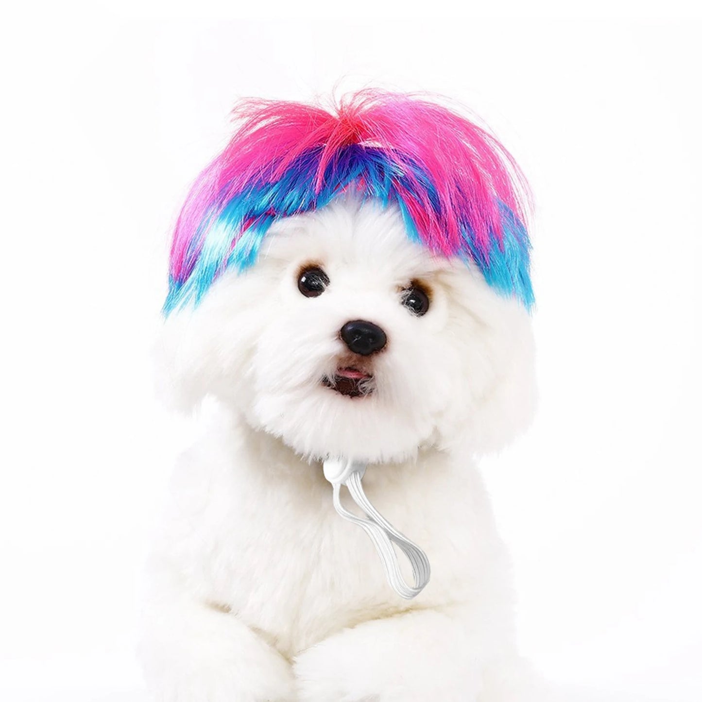 Funny Pet Cosplay Wig – Dog & Cat Costume Hair Hat for Halloween
