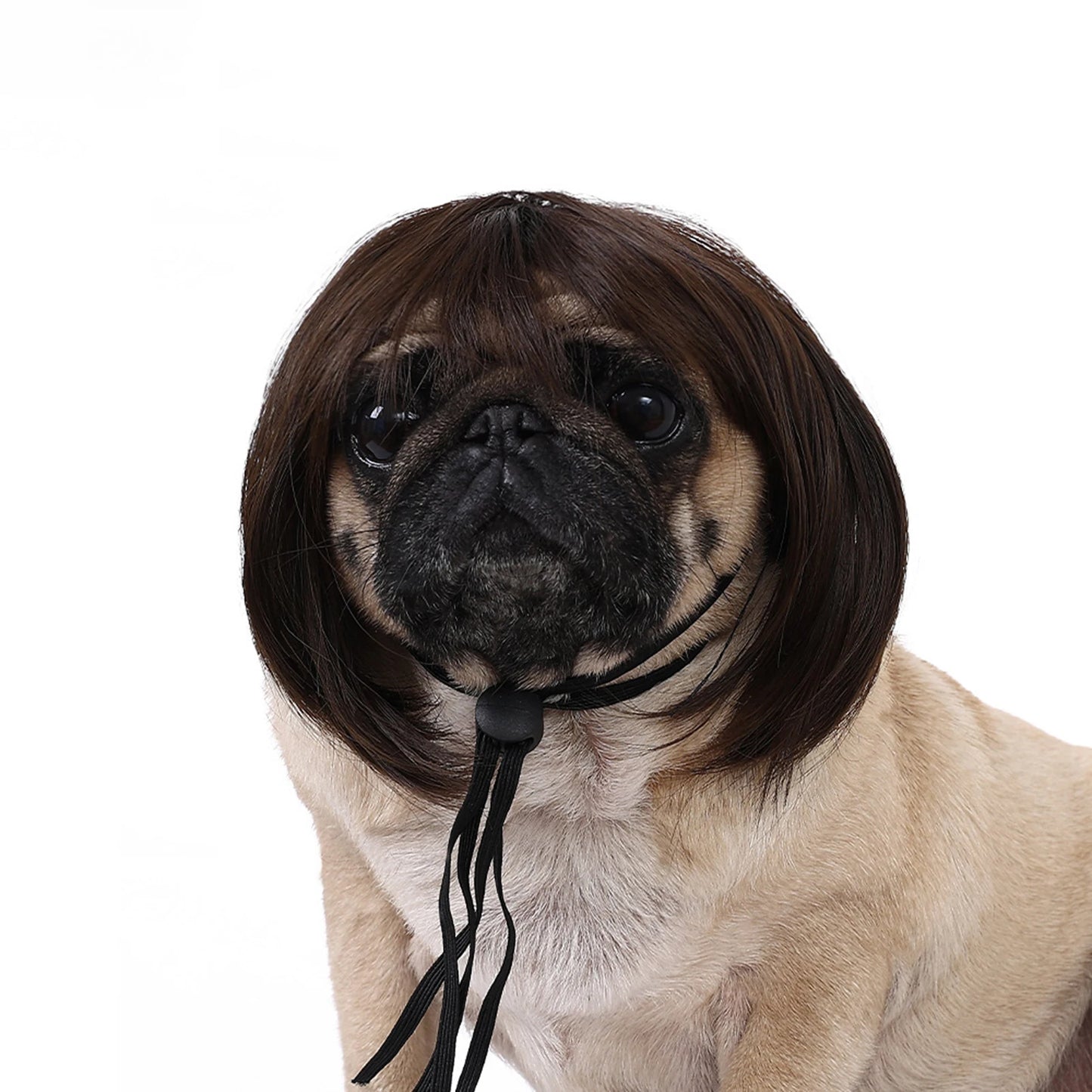 Funny Pet Cosplay Wig – Dog & Cat Costume Hair Hat for Halloween