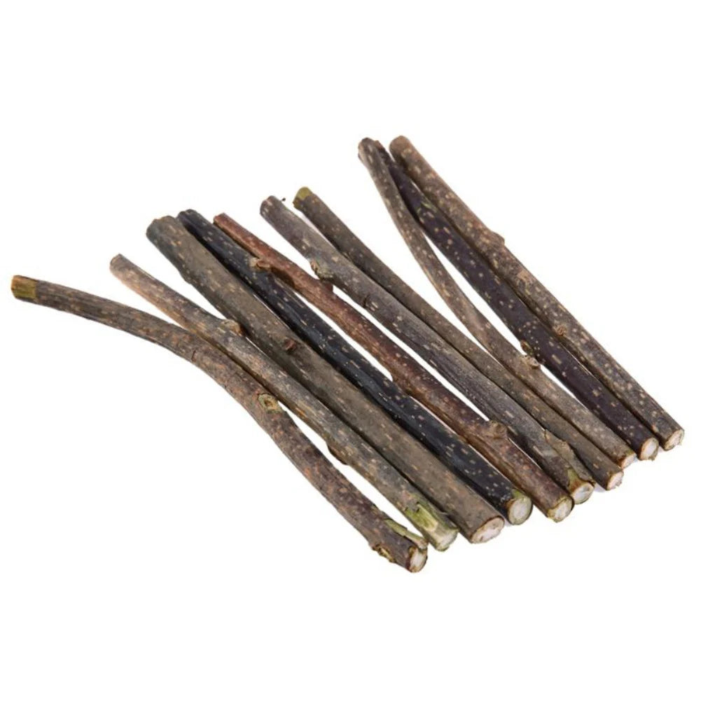Silvervine Sticks for Cats Natural Catnip Chew Sticks Teeth Molar Chewing Toys for Cat Kitten Kitty Gifts - WTN Essentials