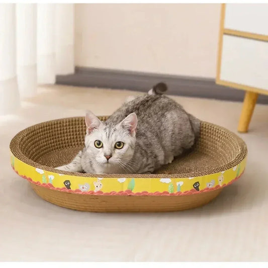 Cat lying on a round, wicker cat bed with a colorful base in a home setting.