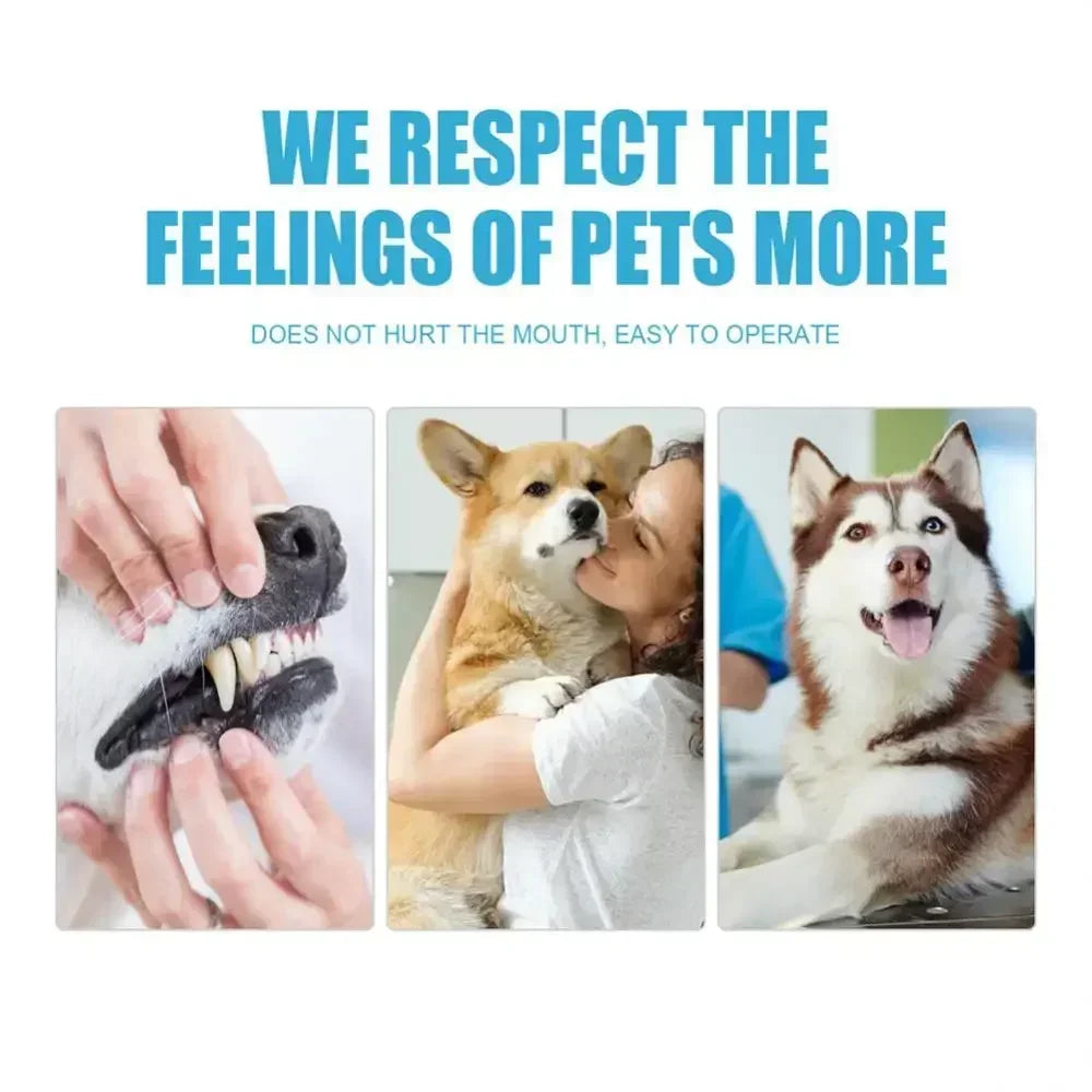 Cat Toothbrush Soft Hair Brush for Cats Mouth Cleaning Cat Brush for Teeth Cleaning Pet Grooming Cats Toothbrush Pet Products - WTN Essentials