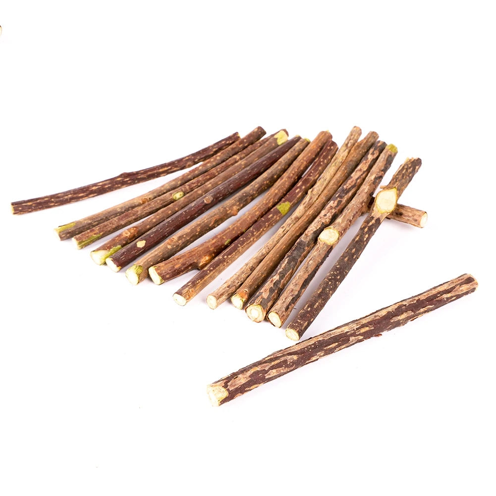 Silvervine Sticks for Cats Natural Catnip Chew Sticks Teeth Molar Chewing Toys for Cat Kitten Kitty Gifts - WTN Essentials