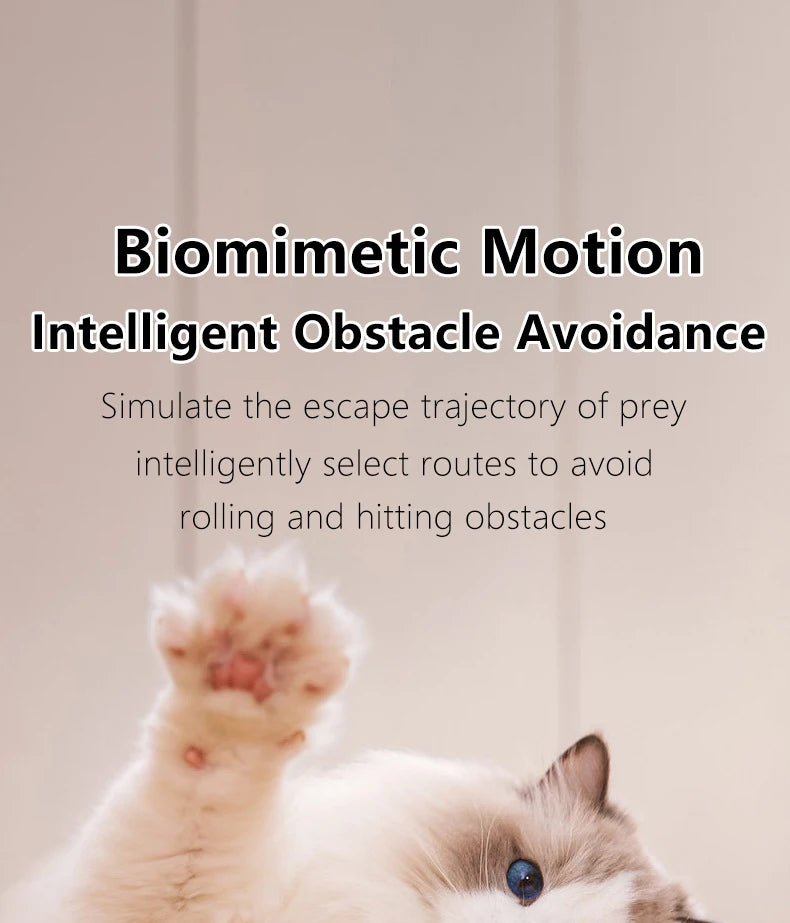 2PCS Cat Interactive Ball Indoor Automatic Rolling Magic Ball Smart Cat Toys Electronic Interactive Cat Toy Cat Game Accessories - WTN Essentials