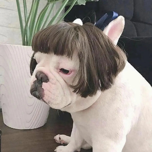 Funny Pet Cosplay Wig – Dog & Cat Costume Hair Hat for Halloween