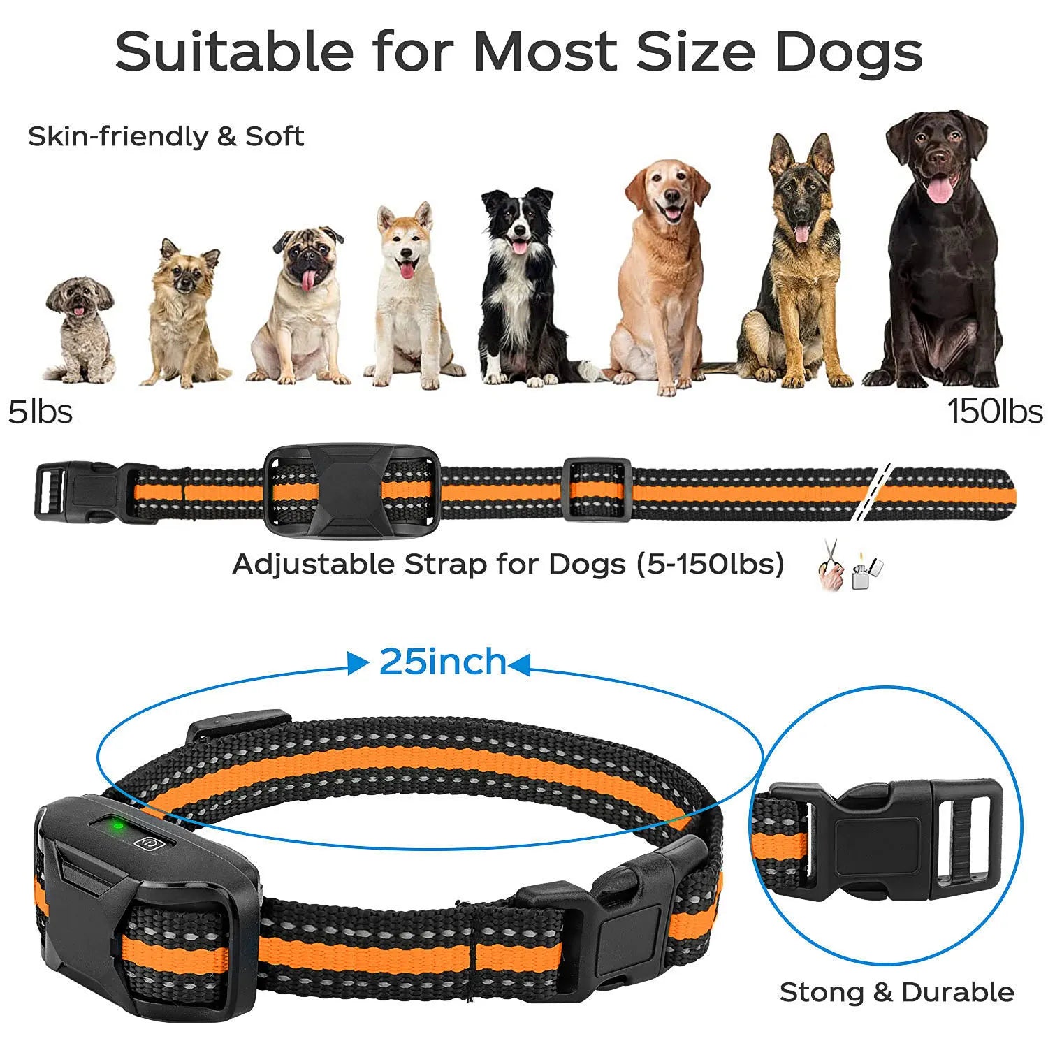 Multiple dogs of different sizes wearing the same model collar